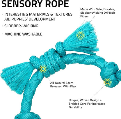Playology Dog Toys | Puppy Toy Sensory Rope Tug of War Rope for Dogs and Puppies | Small Peanut Butter Scented Toy - Easy to Clean and Made from Non Toxic Materials