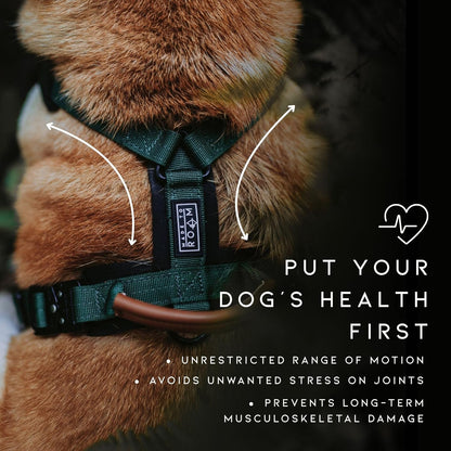 MADE TO ROAM Premium Explorer Harness - Y-Shaped Dog Harness with Adjustable Durable Nylon, Soft Padding, Metal Buckles and Leather Handle for Small, Medium, Large Dogs (Carolina Blooms, Size 7)