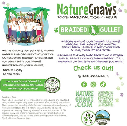 Nature Gnaws Braided Beef Gullet Chews for Dogs 5-6" (10 Count) - Long Lasting for Small and Medium Dogs - Natural Beef Jerky Dog Chew Bones