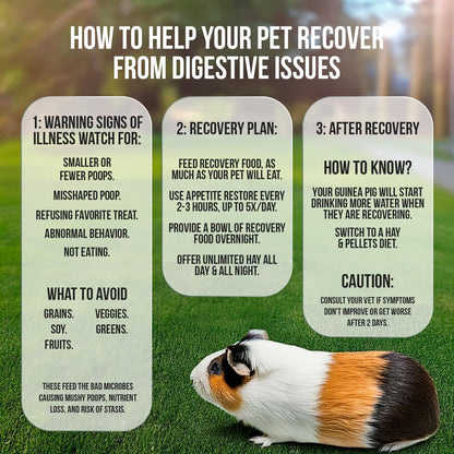 Sherwood Pet Health Guinea Pig Timothy Recovery Food (800g). Grain Free, Soy Free. Great Taste That Guinea Pigs Love with Motility Herbs.