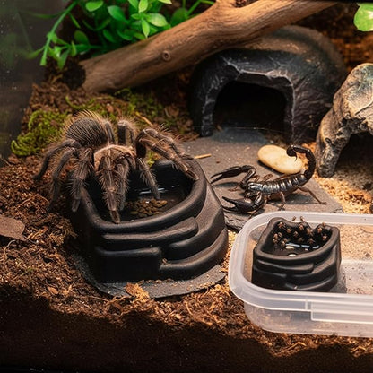 Miniature Water Dish for Scorpions Tanks and Arachnids Cages Nonslip Base Easy to Hygienic Transparents Reptiles Water Container
