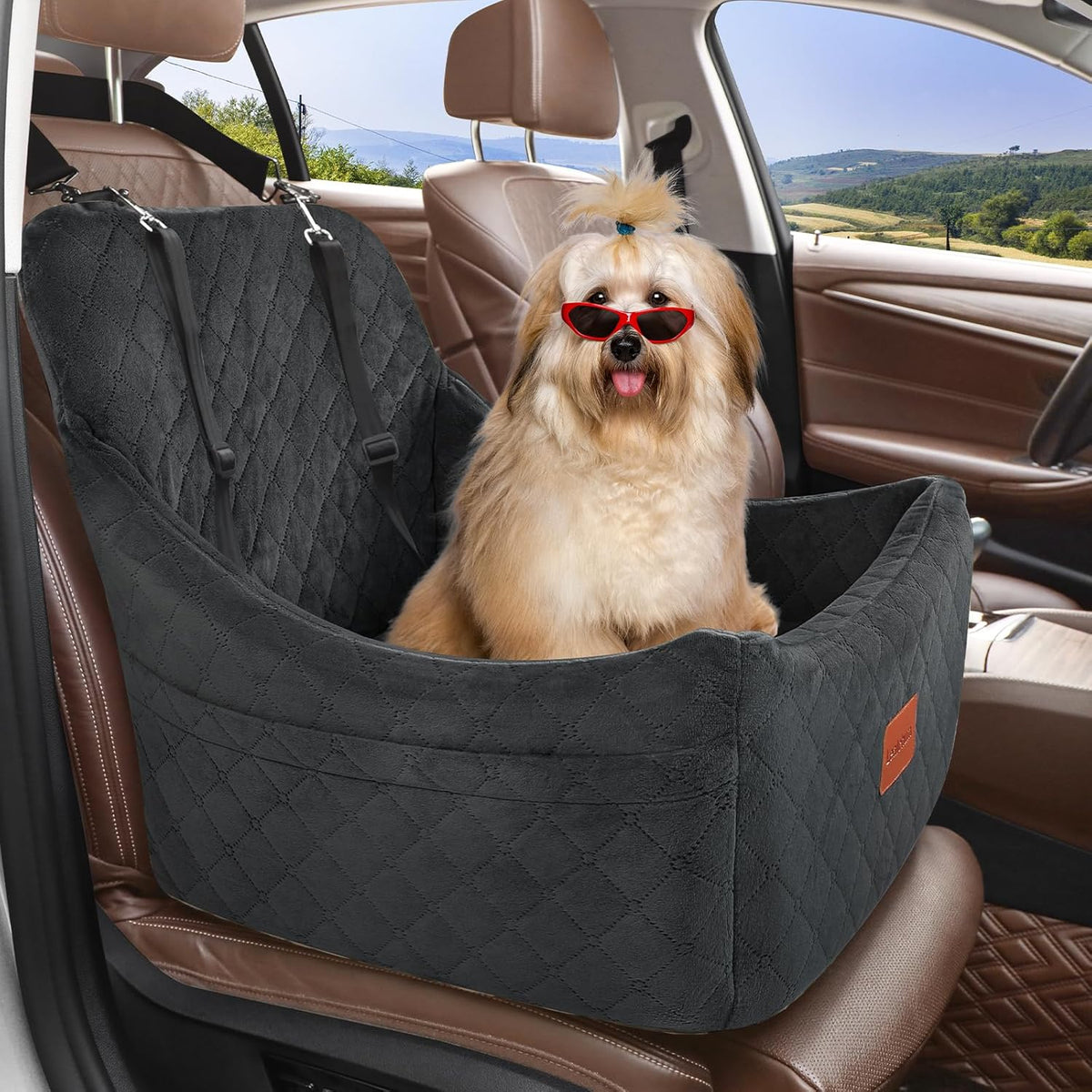 Dog Car Seat for Dogs Up to 35lbs,Fully Detachable and Washable,Memory Foam Covered Soft Fabric,Easy to Install with Adjustable Straps,Anti-Slip Bottom,Two Side Pockets(Black,Medium)