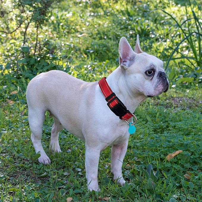Reflective Dog Collar Padded with Soft Neoprene Breathable Adjustable Nylon Dog Collars for Small Medium Large Dogs (Small (Pack of 1), Red Collar+Leash)