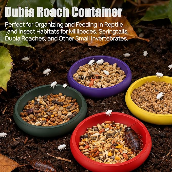 12-Pack Small Feeding Dish for Reptiles, Colorful Feeder Bowls for Isopods, Springtails, Dubia Roaches & Dwarf Invertebrates, Mini Food Bowls for Terrarium & Enclosure