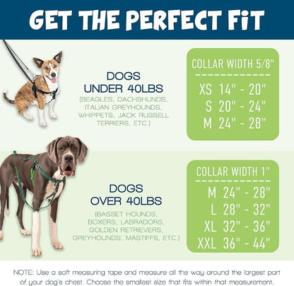 2 Hounds Design Freedom No Pull Dog Harness, Adjustable Harness and Leash Set, Easy Walking & Comfortable Control, Fits Small, Medium & Large Dogs, Solid Colors, Made in USA, 5/8" MD, Neon Green