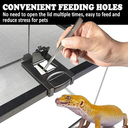 BNOSDM Reptile Tank,8" x 8" x 6" Mini Reptiles Terrarium,Full View Young Lizard Glass Tank,Small Amphibians Habitat Enclosure Cage for Tarantula,Frog,Hermit Crab,Isopods,Insects Breeding Box