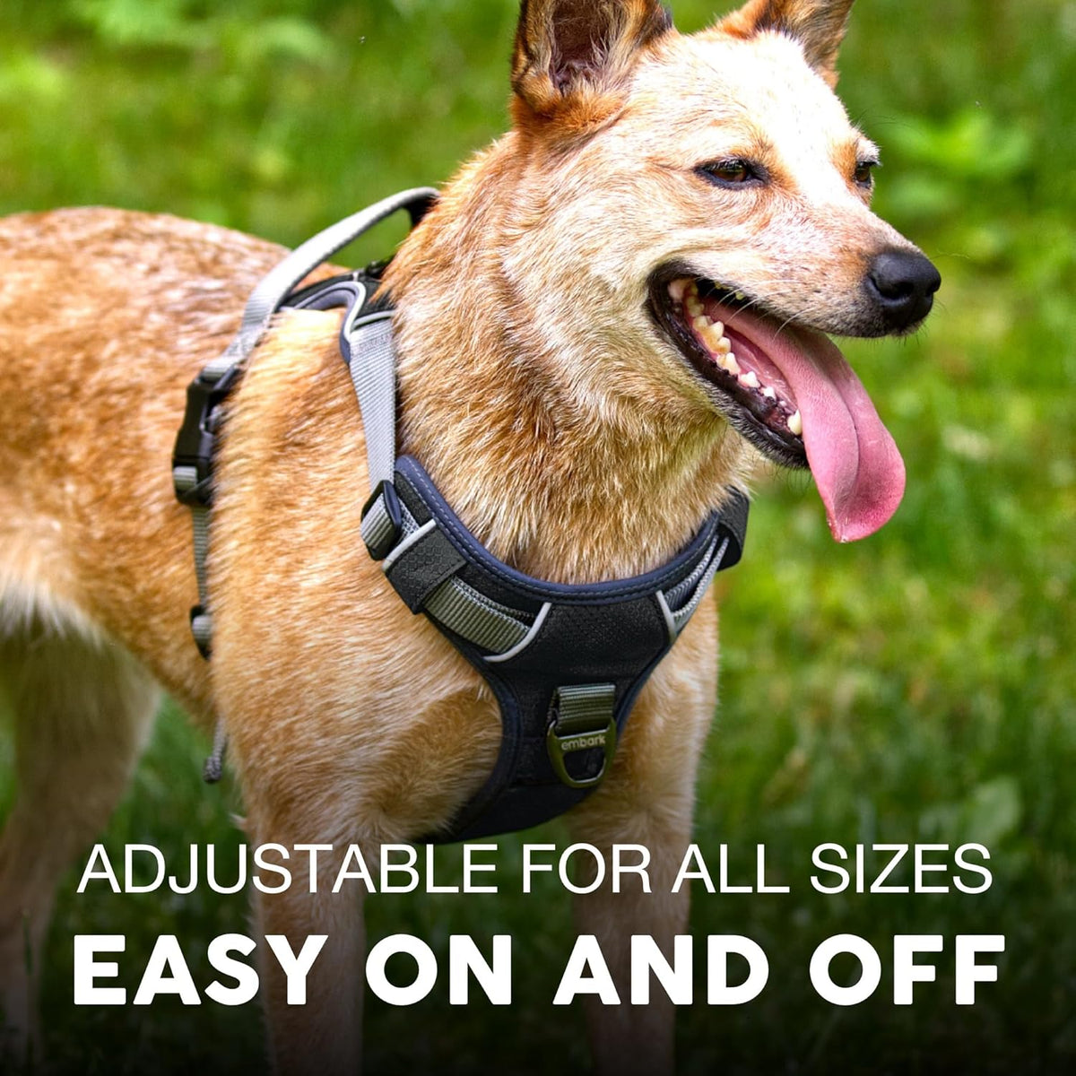 Embark Adventure Dog Harness, Reflective Trim XL Harness for Extra Large Dogs No Pull - Military Grade Nylon, 2 Leash Clips & Gel Lined Handle. Soft & Padded Puppy Dog for Any Breed