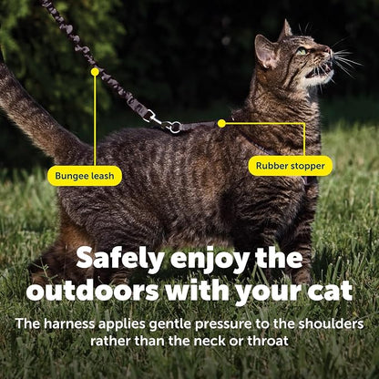 PetSafe Come With Me Kitty Harness and Bungee Leash, Harness for Cats, Medium, Black/Silver, CWMK-M-BLK | Adjustable 2-Point Fit Applies Gentle Pressure to Shoulders, Not Neck, for Small & Average Cats with 10.5 in - 14 in Girth