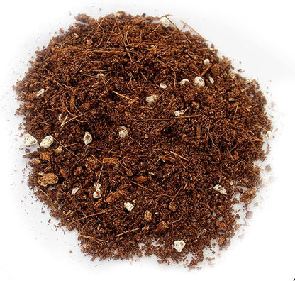 Hamiledyi 1.32LB Reptile Coconut Fiber Substrate Hibernant Soil Mix Perlite Vermiculite 3 in 1 Terrarium Bedding for Lizard Tortoise Chameleon Snake Iguanas Geckos Forg