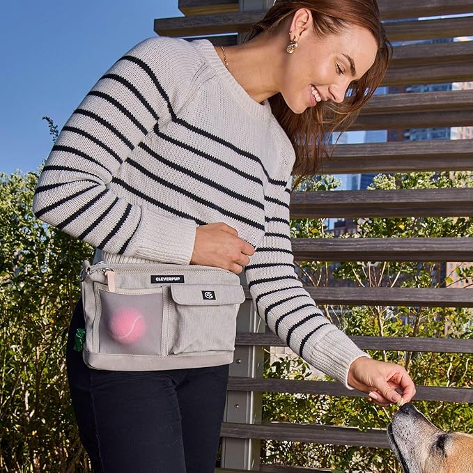 Dog Walk & Train Sling Bag - Hands-Free 2-In-1 Treat Pouch, Poop Bag Holder, Clicker, Phone Pocket - Crossbody/Fanny Pack, Adjustable Strap - Sand