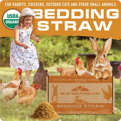 Blue Mountain Hay | Organic Bedding Straw (10 lb) | Natural Pet Bedding & Insulation for Rabbits, Guinea Pigs, Goats, Chickens, Stray & Feral Cats, and Small Animal Shelters