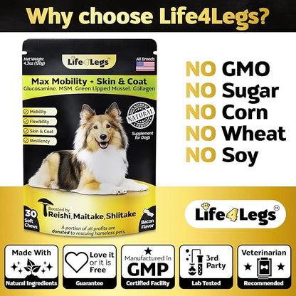 Soft Chews Hip and Joint Supplement for Dogs - Dog Joint Pain Relief Treats - Glucosamine, Chondroitin, Turmeric - Mobility Supplement (Bacon - 30 Soft Chews)