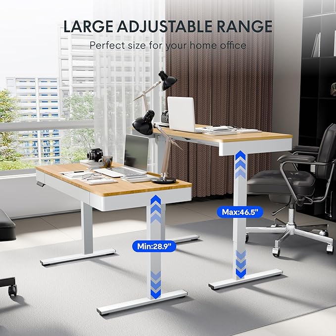 FLEXISPOT Q5 Standing Desk