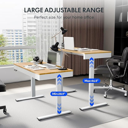 FLEXISPOT Q5 Standing Desk