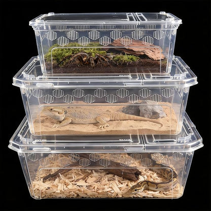 3Pcs Reptile Feeding Box Set, 3-Size Plastic Reptile Critter Keeper with Tags, for Isopods Snails Sling Geckos Frog Spiders Turtles Scorpion Serpents Tarantulas and Breeding Worms(Clear)