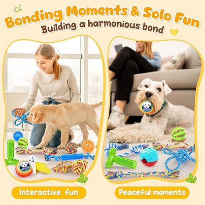 KIPRITII 25 Pack Various Puppy Dog Toys for Teething, Entertainment & Interaction, Puppy Chew Toys Pack with Rope Toy, Treat Balls and Dog Squeaky Toys for Puppies & Small Dogs