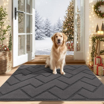 hicorfe Indoor Door Mat,Non Slip Door Mats,32"x48" Front Back Door Mat Rubber Backing,Absorbent Resist Dirt Entrance Inside Floor Mats for Entryway Washable Low-Profile(Grey)