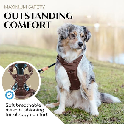 Freudentier No Pull Dog Harness with Handle, Front & Back Clips, Reflective | Soft breathable mesh padding - perfect fit with no chafing or slipping - comfortable dog vest for small, medium & large dogs