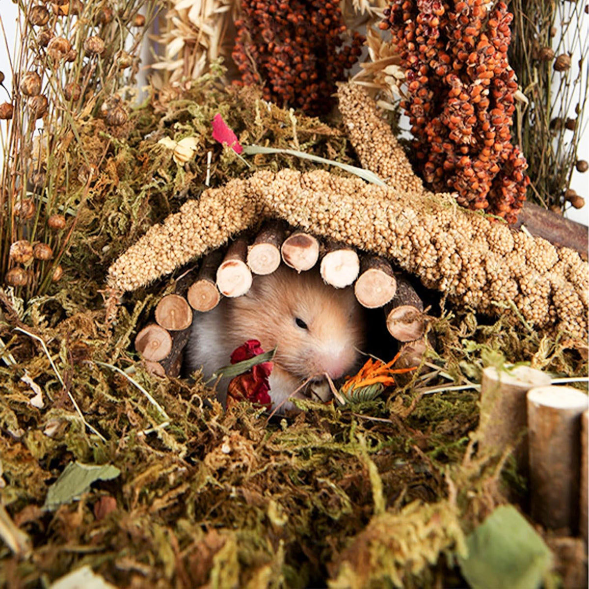 Natural Ear of Grain Flower&Herb Bedding Mate Habitat Decor, Adding Fun Hamster Accessories for Hamsters Gerbils Lemming