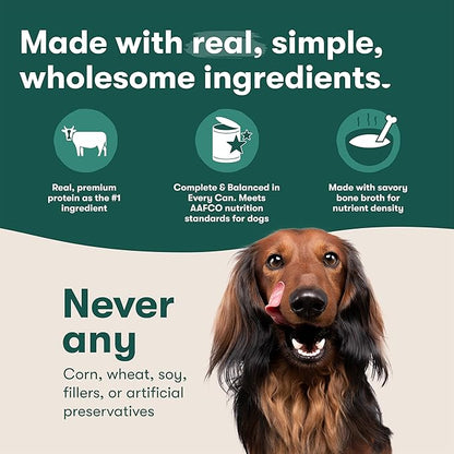 Jinx Premium Wet Dog Food Cans, Variety Pack - Salmon & Chicken Pate - Grain-Free Canned Dog Food Pate & Topper with Real Ingredients & No Fillers - All Life Stages, Breeds & Sizes - 12-Pack, 13 Oz