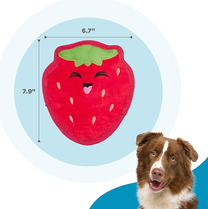 Outward Hound Tough Skinz Durable Squeaky Dog Toy with Two Tough Layers, Strawberry, Red, Medium