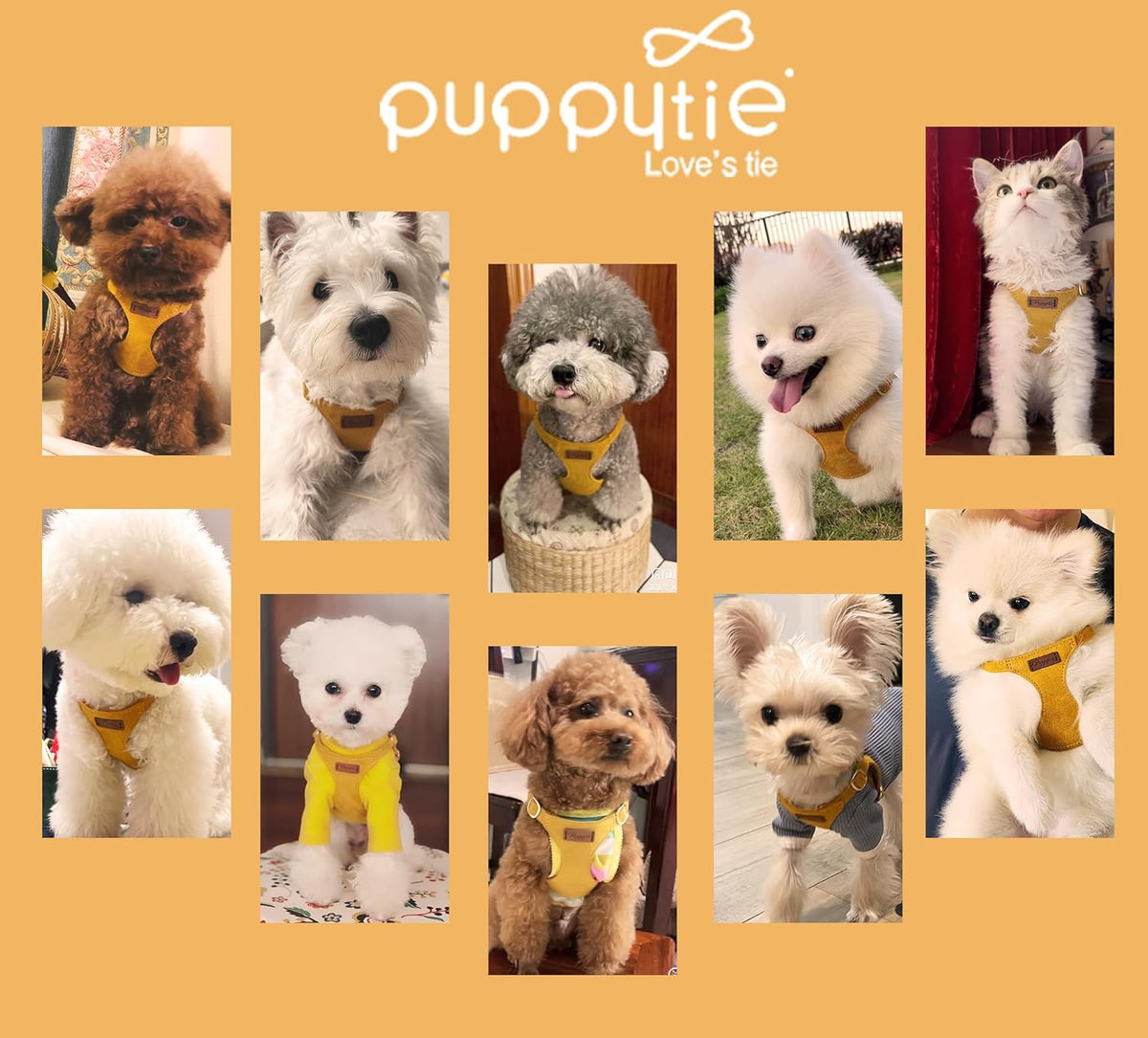Puppytie No Pull XXS Puppy Harness with Multifunction Dog Leash,Soft Adjustable No Choke Escape Proof Pet Harness Vest,Yellow,XXS