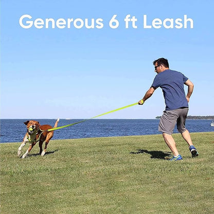 Pawtitas Personalized Dog Leash Embroidered Customize Leash with Your Pet Name & Phone Number Leash Puppy Leash 6 ft Long Dog Leash Puppy Medium Leash Large Leash Leash Grey Custom Engraved Name