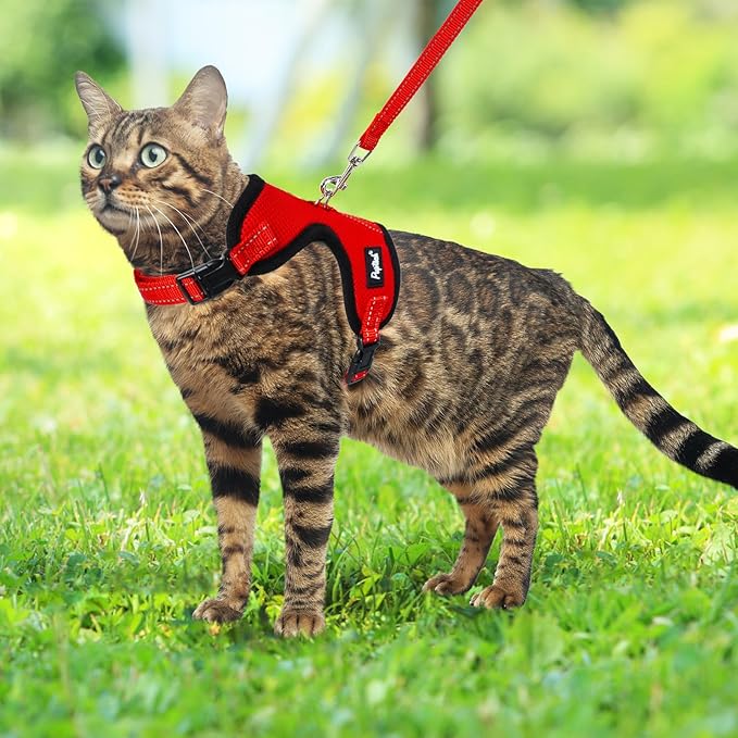 PUPTECK Cat Harness and Leash Set Escape Proof, Reflective Adjustable Soft Mesh Kitten Vest Harness for Walking Travel, Red, S