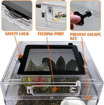 Reptile Terrarium, Jumping Spider Enclosure Starter Kit, Leopard Gecko Habitat Container, 8"x8"x7"Reptile Tank for Tarantula, Hermit Crab, Insect, Fish, Frog, Small Bearded Dragon, Lizard