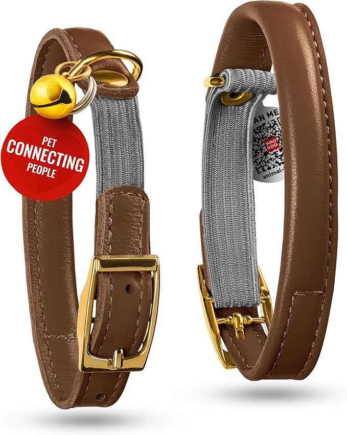 WAUDOG Ultra Soft Rolled Leather Cat Collar with Removable Bell, Safety Elastic Strap and QR ID Tag - Soft Padded for Small, Medium, and Large Cats - Round Kitten Collar for Male and Female Cats