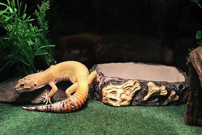 Penn-Plax Reptology Reptile Fossil Rock Food/Water Dish – Great for Bearded Dragons, Geckos, Chameleons, Snakes, Hermit Crabs, and Many More – Medium