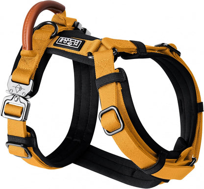 MADE TO ROAM Premium Explorer Harness - Y-Shaped Dog Harness with Adjustable Durable Nylon, Soft Padding, Metal Buckles and Leather Handle for Small, Medium, Large Dogs (Michigan Autumn, Size 3)