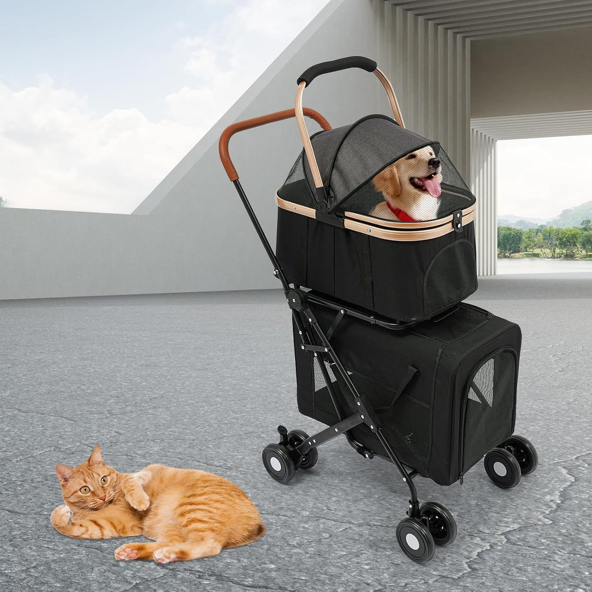Double Pet Stroller for Dogs and Cats, Foldable Dog Stroller Travel Carriage with Detachable Carriers, Safety Belts, and 4 Lockable Wheels for Small to Medium Pets (Black)