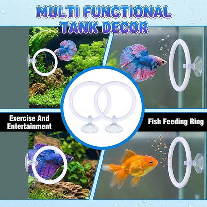 Styquenzer 2 Pcs Beta Fish Aquariums Accessories, Betta Ring Enrichment Toys Fish Feeding Ring Betta Toys for Exercise Training