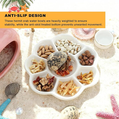 Eiito Reptile Food Bowl,Hermit Crab Lizard Gecko Ceramic Food Dish, 7 Compartments Anti-Turning Bearded Dragon Food & Water Bowl with Small Brush (White)