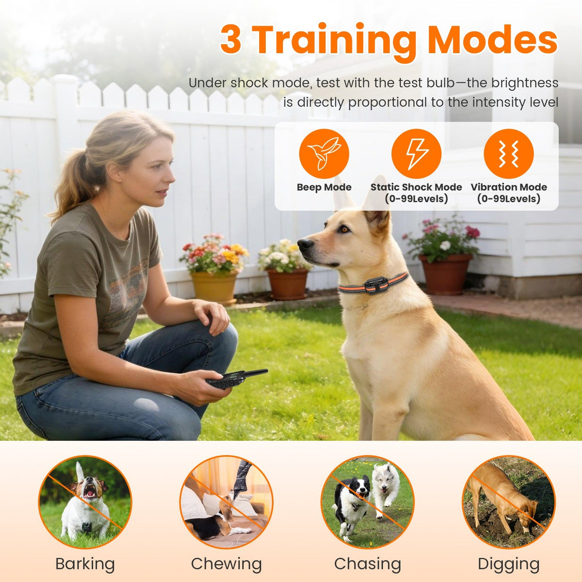 Dog Training Collar With Remote