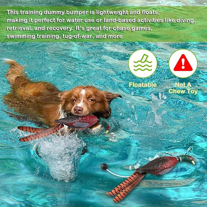 Archerest Dead Duck Dove Pheasant Dummy Bumper Toys for Waterfowl Hunting Retriever Dog Training, Floating Mallard Dummy Trainer Outdoor Soft Durable Realistic Fowl