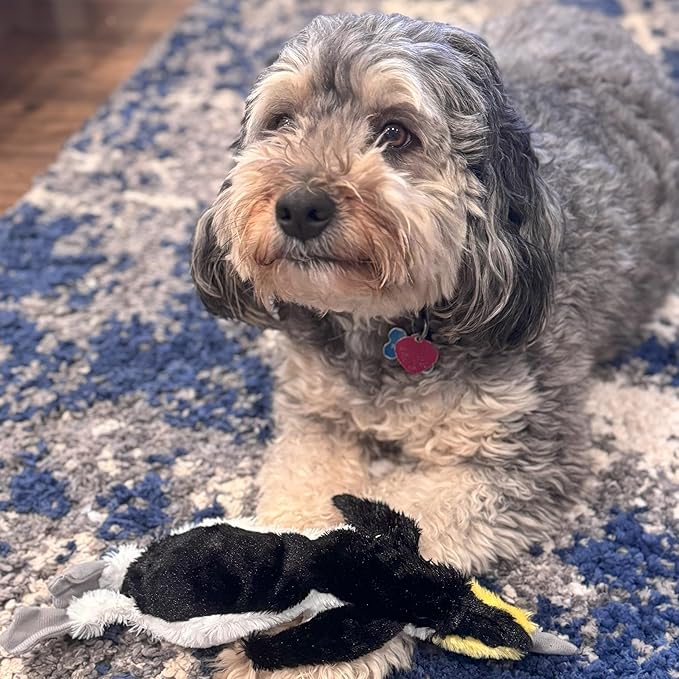 SPOT Skinneeez Plus Penguin - Stuffing Free Dog Toy with Two Piece Rubber Body and Two Squeakers, Fun to Bite, Stuffingless Design is Great for Moderate Chewers, Tug Toy for Puppies & Dogs - 15in