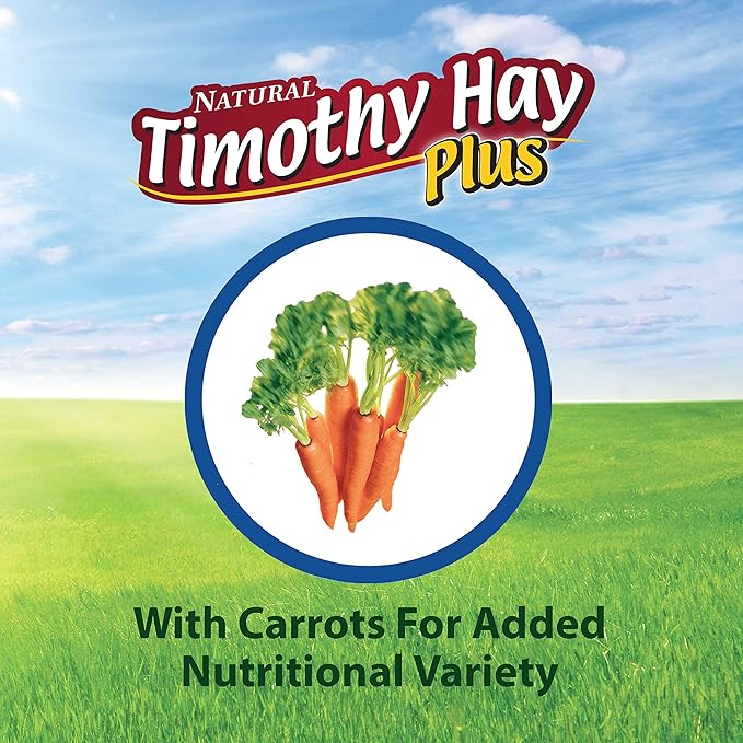 Kaytee Timothy Hay Plus Carrots for Pet Guinea Pigs, Rabbits & Other Small Animals, 24 oz (Pack of 2)