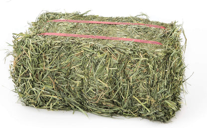 Grandpa's Best Orchard Grass Bale, 40 oz