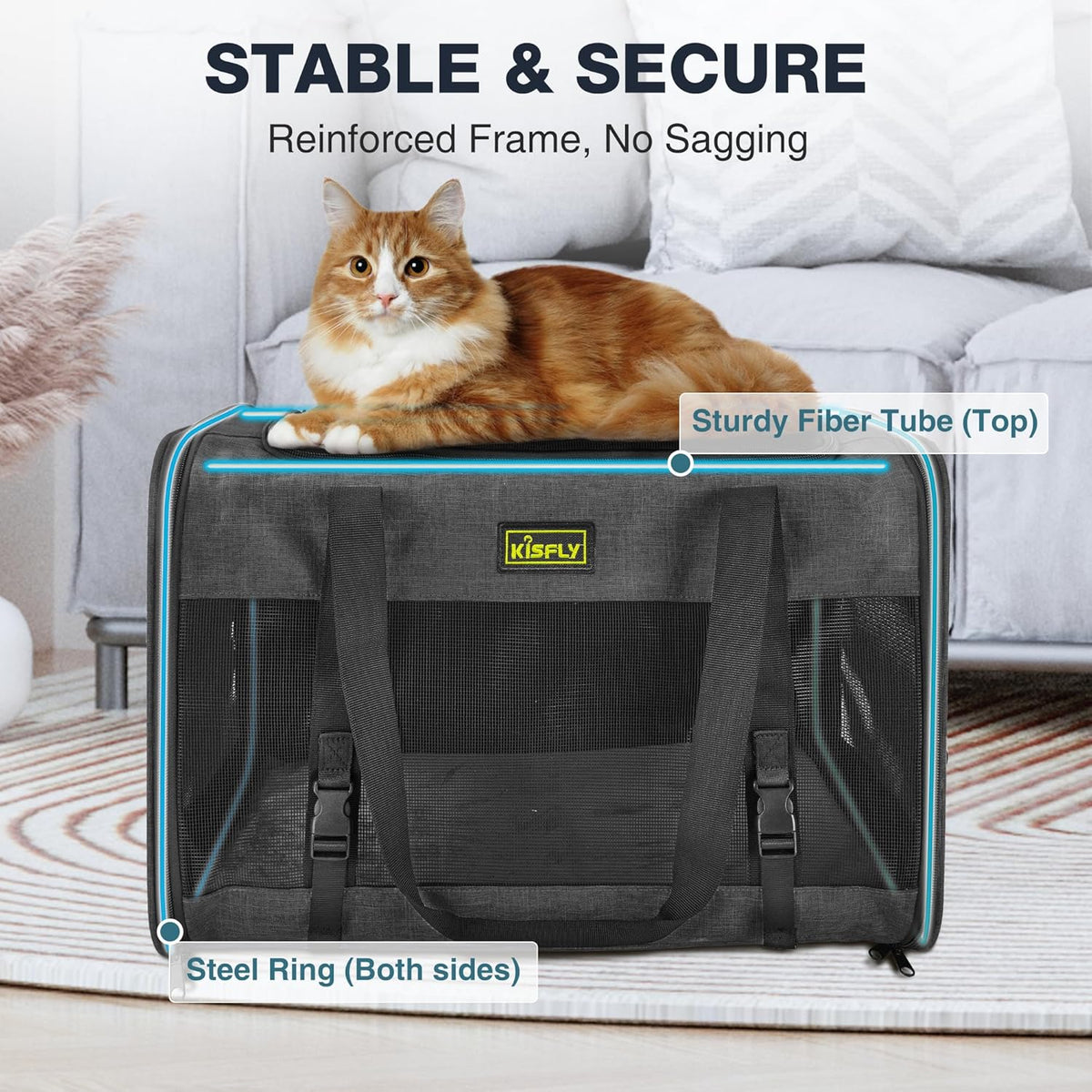 Small Dog Carrier for Puppies, Rabbits, Cat Carrier Soft, Foldable Travel Bag, Fits Pets up to 25lbs, Car Seat Belt Compatible, Ideal for Car Road Trips, Anti-Scratch Mesh, 20x13x13 in, Black