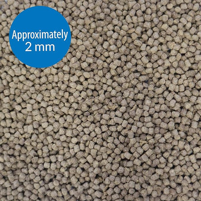 API TROPICAL PELLETS Sinking Pellets Fish Food 4.2-Ounce Container, Medium (823B)