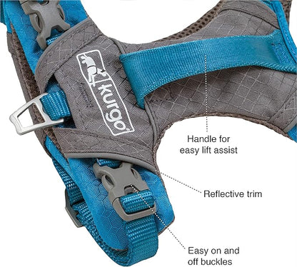 Kurgo Journey Air Dog Harness, Orange, Large | Padded Chest, Ripstop Outer & Breathable Mesh, Back Assist Handle, Rust-Free Aluminum Hardware, Reflective Trim