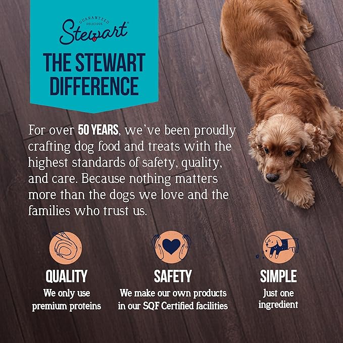 Stewart Wild Salmon Dog Treats, 9.5 oz, ~190 Pieces, Freeze Dried Raw, Single Ingredient, 65% Protein Training Treats or Meal Topper in a Resealable Tub, Grain Free, Gluten Free