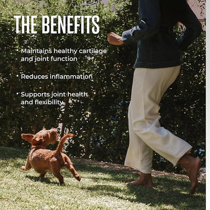 WagWell Mobility Chews – Vet-Formulated, All Natural, Made in The USA – Joint