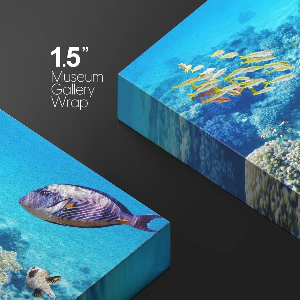 wall26 Canvas Print Wall Art Vibrant Teal Underwater Fish Coral Reef Nature Animals Photography Realism Scenic Landscape Wilderness Earth Colorful for Living Room, Bedroom, Office - 32"x48"