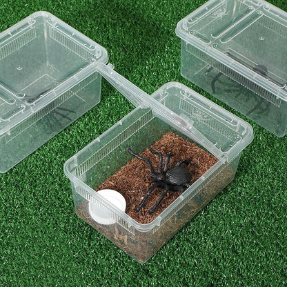 Irenare 8 Pcs Reptile Breeding Box Plastic Spider Terrarium Tarantula Feeding Box for Bearded Dragon Lizard Spider Gecko Scorpion(Vent Strips,Clear,7.48 x 4.92 x 2.95 Inch)