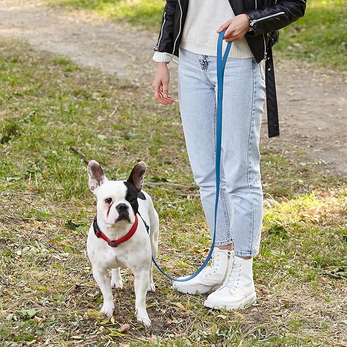 Dogline Biothane Waterproof Dog Leash Strong Coated Nylon Webbing with Black Hardware Odor-Proof Easy to Clean High Performance for Small or Large Dogs Made in USA 4 or 6 ft Lead, Cerulean Blue