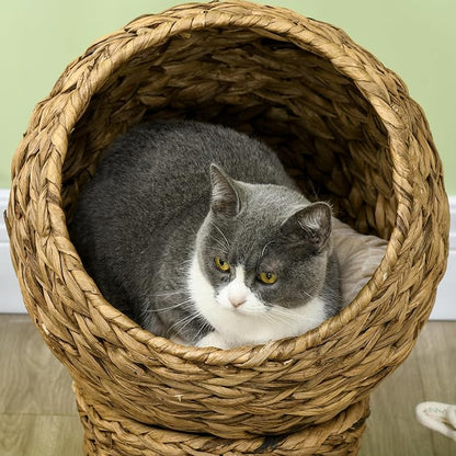 PAWHUT Egg Chair Rattan Elevated CAT Bed with Removable Cover, 17-in, Brown | Soft Cushion & Egg Chair Shape, Basket Bed Kitty House with Stand, Raised Wicker House
