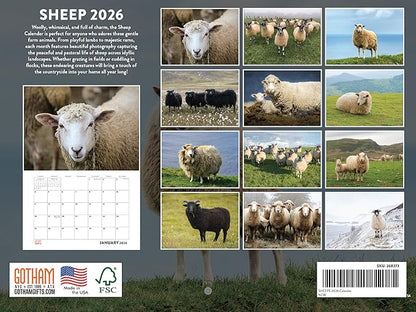 Sheep Calendar 2026 Monthly Wall Calender 12 Month | American Made In The USA